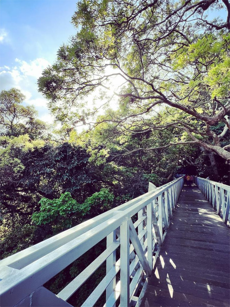 關於夏洛克