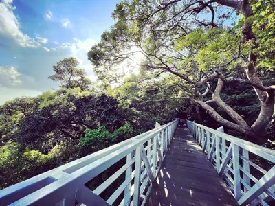 夏洛克